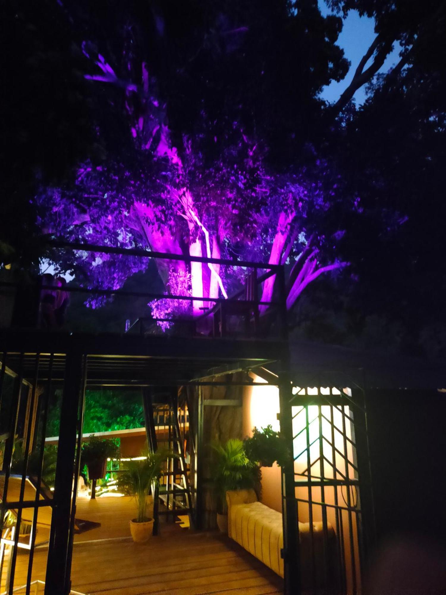 Phuket Jungle Experience Resort Karon Εξωτερικό φωτογραφία