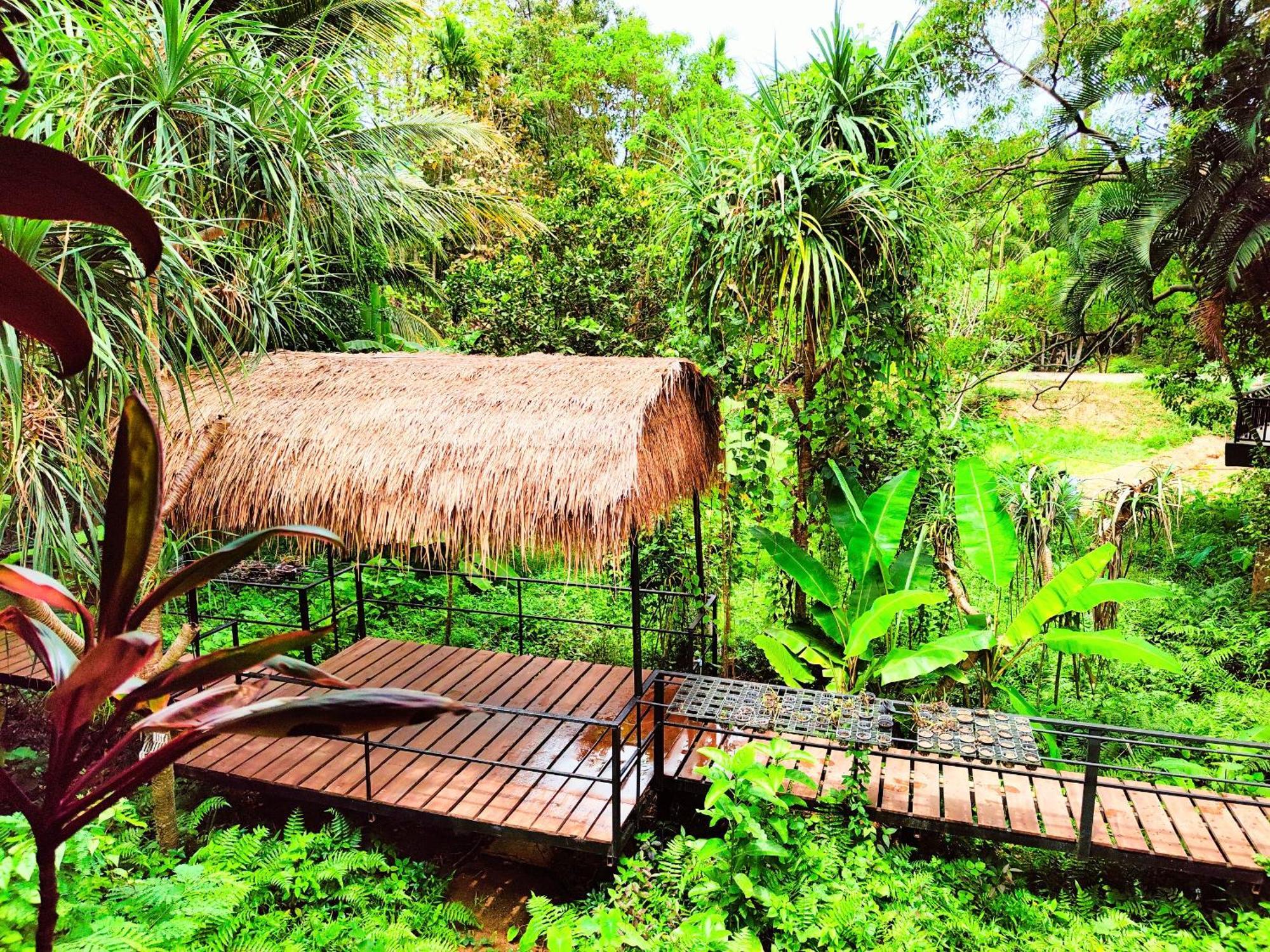 Phuket Jungle Experience Resort Karon Εξωτερικό φωτογραφία